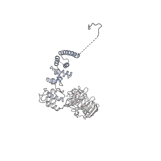 30584_7d5s_A8_v1-0
Cryo-EM structure of 90S preribosome with inactive Utp24 (state A2)
