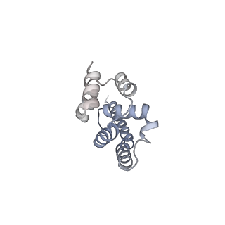 30584_7d5s_A9_v1-0
Cryo-EM structure of 90S preribosome with inactive Utp24 (state A2)
