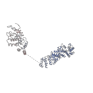 30584_7d5s_AE_v1-0
Cryo-EM structure of 90S preribosome with inactive Utp24 (state A2)