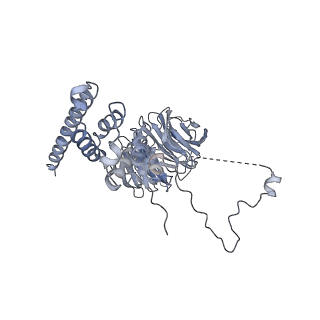 30584_7d5s_AF_v1-0
Cryo-EM structure of 90S preribosome with inactive Utp24 (state A2)