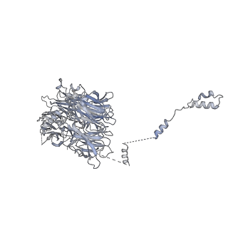 30584_7d5s_AG_v1-0
Cryo-EM structure of 90S preribosome with inactive Utp24 (state A2)