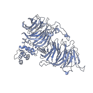 30584_7d5s_B1_v1-0
Cryo-EM structure of 90S preribosome with inactive Utp24 (state A2)