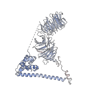 30584_7d5s_B2_v1-0
Cryo-EM structure of 90S preribosome with inactive Utp24 (state A2)