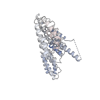 30584_7d5s_B6_v1-0
Cryo-EM structure of 90S preribosome with inactive Utp24 (state A2)