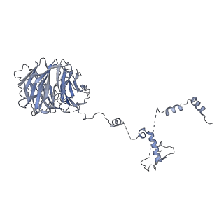 30584_7d5s_B8_v1-0
Cryo-EM structure of 90S preribosome with inactive Utp24 (state A2)