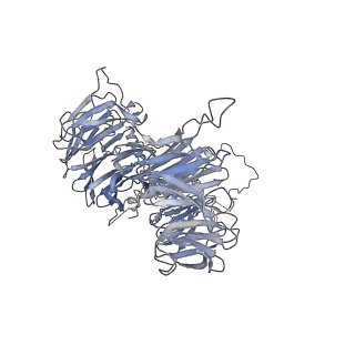 30584_7d5s_BE_v1-0
Cryo-EM structure of 90S preribosome with inactive Utp24 (state A2)