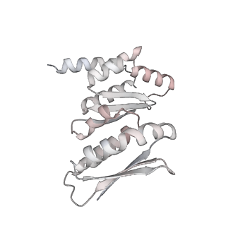 30584_7d5s_RC_v1-0
Cryo-EM structure of 90S preribosome with inactive Utp24 (state A2)