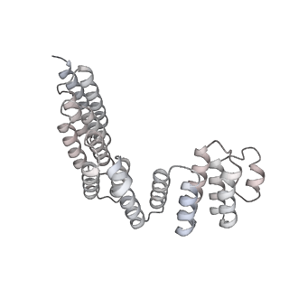 30584_7d5s_RD_v1-0
Cryo-EM structure of 90S preribosome with inactive Utp24 (state A2)