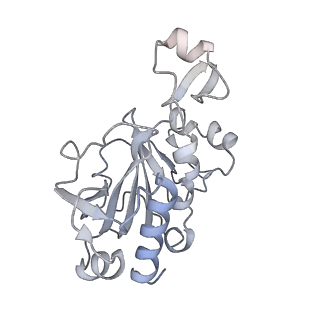 30584_7d5s_RG_v1-0
Cryo-EM structure of 90S preribosome with inactive Utp24 (state A2)