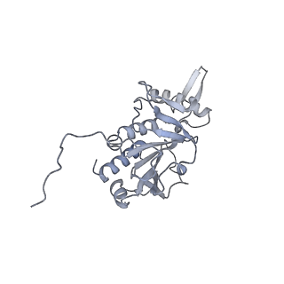30584_7d5s_RH_v1-0
Cryo-EM structure of 90S preribosome with inactive Utp24 (state A2)
