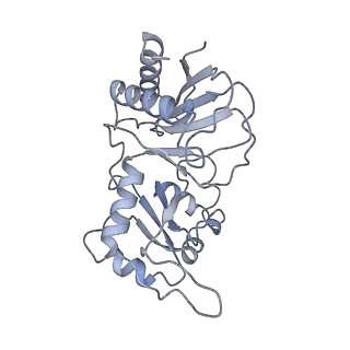 30584_7d5s_RI_v1-0
Cryo-EM structure of 90S preribosome with inactive Utp24 (state A2)