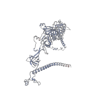 30584_7d5s_RJ_v1-0
Cryo-EM structure of 90S preribosome with inactive Utp24 (state A2)