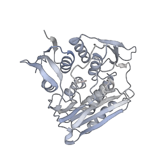 30584_7d5s_RK_v1-0
Cryo-EM structure of 90S preribosome with inactive Utp24 (state A2)