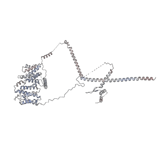 30584_7d5s_RN_v1-0
Cryo-EM structure of 90S preribosome with inactive Utp24 (state A2)