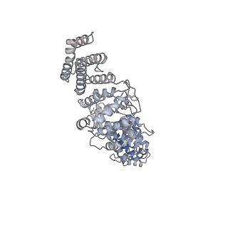 30584_7d5s_RO_v1-0
Cryo-EM structure of 90S preribosome with inactive Utp24 (state A2)