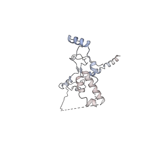 30584_7d5s_RQ_v1-0
Cryo-EM structure of 90S preribosome with inactive Utp24 (state A2)