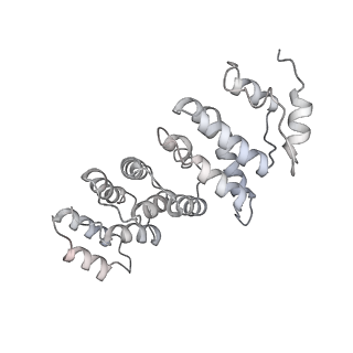30584_7d5s_RS_v1-0
Cryo-EM structure of 90S preribosome with inactive Utp24 (state A2)
