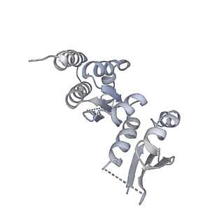 30584_7d5s_RT_v1-0
Cryo-EM structure of 90S preribosome with inactive Utp24 (state A2)