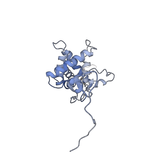 30584_7d5s_SG_v1-0
Cryo-EM structure of 90S preribosome with inactive Utp24 (state A2)