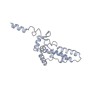 30584_7d5s_SK_v1-0
Cryo-EM structure of 90S preribosome with inactive Utp24 (state A2)