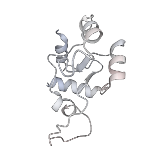 30584_7d5s_SN_v1-0
Cryo-EM structure of 90S preribosome with inactive Utp24 (state A2)