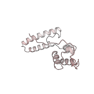 30584_7d5s_SO_v1-0
Cryo-EM structure of 90S preribosome with inactive Utp24 (state A2)