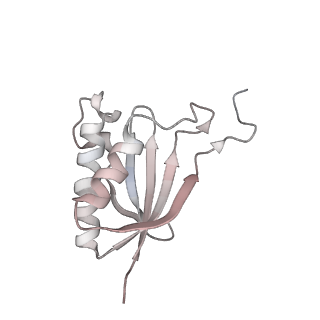 30584_7d5s_SP_v1-0
Cryo-EM structure of 90S preribosome with inactive Utp24 (state A2)