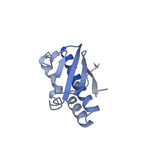 30584_7d5s_SR_v1-0
Cryo-EM structure of 90S preribosome with inactive Utp24 (state A2)