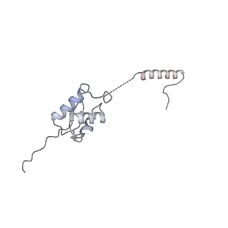 30584_7d5s_ST_v1-0
Cryo-EM structure of 90S preribosome with inactive Utp24 (state A2)