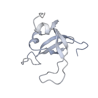 30584_7d5s_SY_v1-0
Cryo-EM structure of 90S preribosome with inactive Utp24 (state A2)