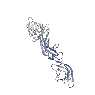 27221_8d6a_A_v1-0
Cryo-EM structure of human LIF signaling complex: model containing the interaction core region