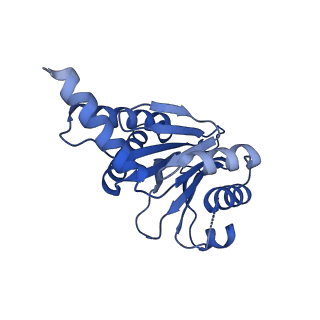 27223_8d6v_F_v1-2
Structure of the Mycobacterium tuberculosis 20S proteasome bound to the C-terminal GQYL motif of the ATP-bound Mpa ATPase