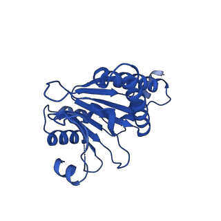 27223_8d6v_N_v1-2
Structure of the Mycobacterium tuberculosis 20S proteasome bound to the C-terminal GQYL motif of the ATP-bound Mpa ATPase