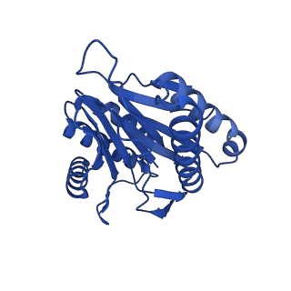 27223_8d6v_Q_v1-2
Structure of the Mycobacterium tuberculosis 20S proteasome bound to the C-terminal GQYL motif of the ATP-bound Mpa ATPase