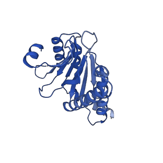 27224_8d6w_A_v1-2
Structure of the Mycobacterium tuberculosis 20S proteasome bound to the C-terminal GQYL motif of the ADP-bound Mpa ATPase