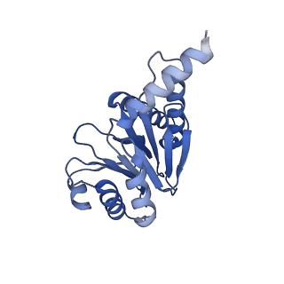 27224_8d6w_D_v1-2
Structure of the Mycobacterium tuberculosis 20S proteasome bound to the C-terminal GQYL motif of the ADP-bound Mpa ATPase
