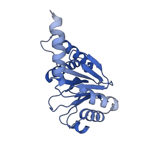 27224_8d6w_E_v1-2
Structure of the Mycobacterium tuberculosis 20S proteasome bound to the C-terminal GQYL motif of the ADP-bound Mpa ATPase