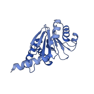 27224_8d6w_G_v1-2
Structure of the Mycobacterium tuberculosis 20S proteasome bound to the C-terminal GQYL motif of the ADP-bound Mpa ATPase