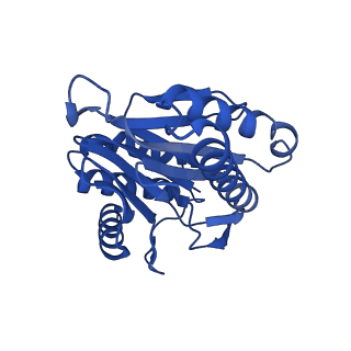 27224_8d6w_Q_v1-2
Structure of the Mycobacterium tuberculosis 20S proteasome bound to the C-terminal GQYL motif of the ADP-bound Mpa ATPase