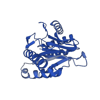 27224_8d6w_U_v1-2
Structure of the Mycobacterium tuberculosis 20S proteasome bound to the C-terminal GQYL motif of the ADP-bound Mpa ATPase