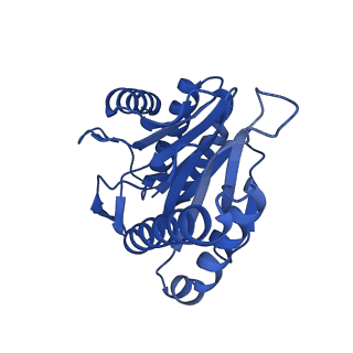 27224_8d6w_V_v1-2
Structure of the Mycobacterium tuberculosis 20S proteasome bound to the C-terminal GQYL motif of the ADP-bound Mpa ATPase