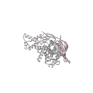 27225_8d6x_A_v1-2
Structure of the Mycobacterium tuberculosis 20S proteasome bound to the ATP-bound Mpa ATPase