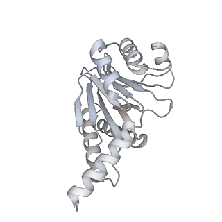 27225_8d6x_H_v1-2
Structure of the Mycobacterium tuberculosis 20S proteasome bound to the ATP-bound Mpa ATPase