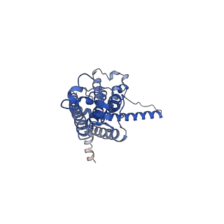 30586_7d60_A_v1-0
Cryo-EM Structure of human CALHM5 in the presence of rubidium red
