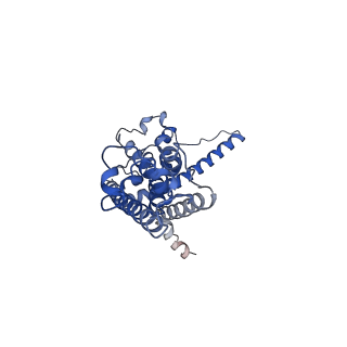 30586_7d60_B_v1-0
Cryo-EM Structure of human CALHM5 in the presence of rubidium red