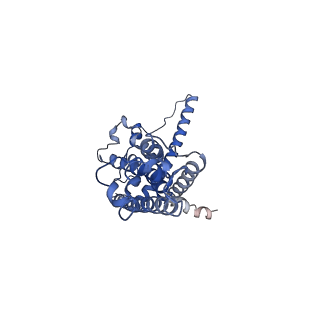 30586_7d60_C_v1-0
Cryo-EM Structure of human CALHM5 in the presence of rubidium red