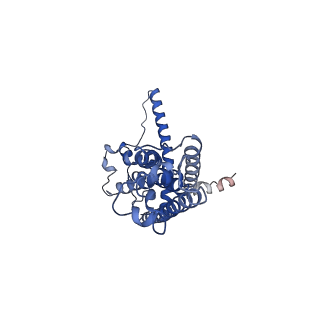 30586_7d60_D_v1-0
Cryo-EM Structure of human CALHM5 in the presence of rubidium red