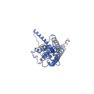 30586_7d60_E_v1-0
Cryo-EM Structure of human CALHM5 in the presence of rubidium red