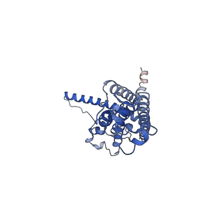 30586_7d60_F_v1-0
Cryo-EM Structure of human CALHM5 in the presence of rubidium red