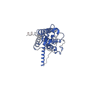 30586_7d60_I_v1-0
Cryo-EM Structure of human CALHM5 in the presence of rubidium red